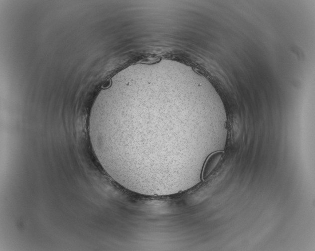X0000112980236200909171344
