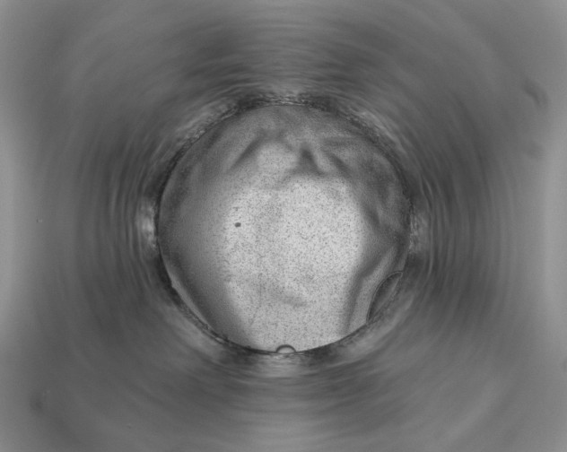 X0000112980238200909171344