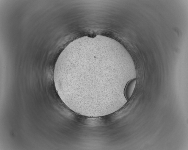 X0000112980240200909171344