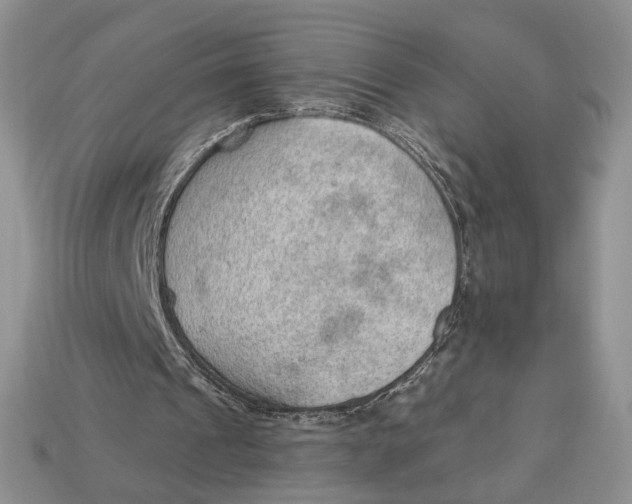 X0000112980241200909171344