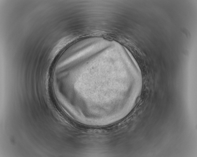 X0000112980242200909171344