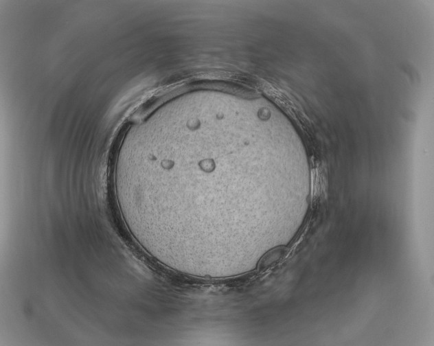 X0000112980243200909171344