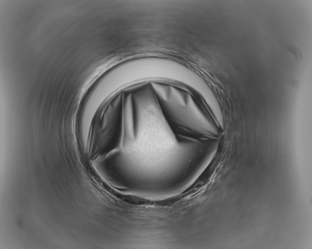 X0000112980244200909171344