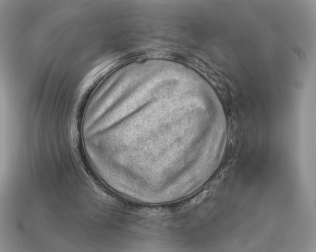 X0000112980245200909171344