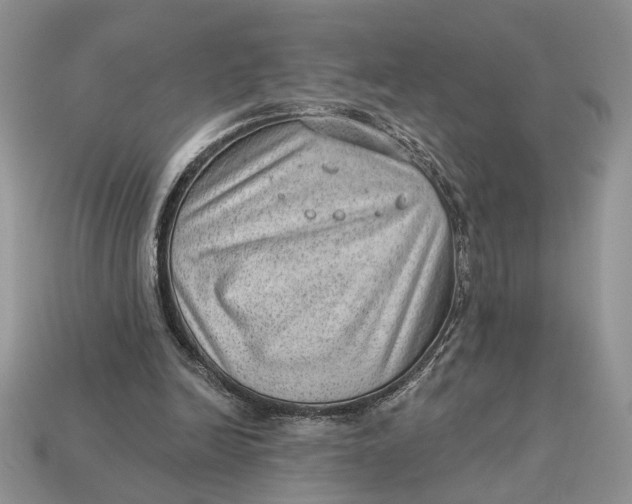 X0000112980246200909171344