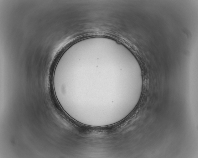 X0000112980248200909171344