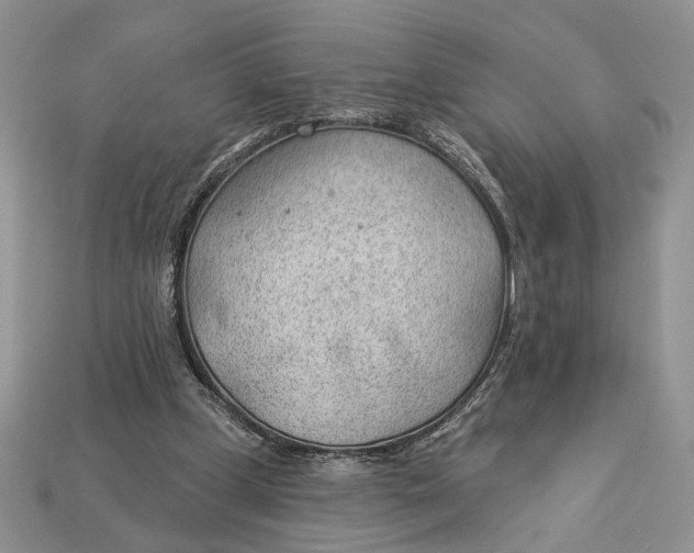 X0000112980249200909171344