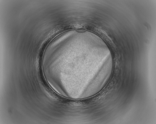 X0000112980250200909171344
