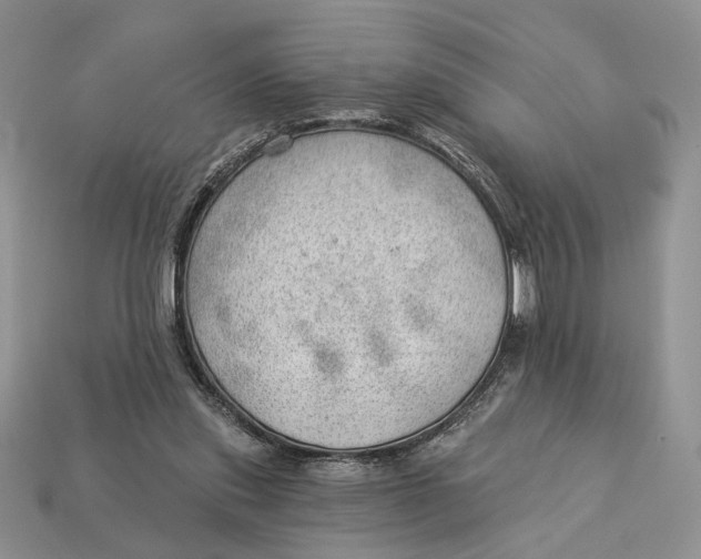 X0000112980253200909171344