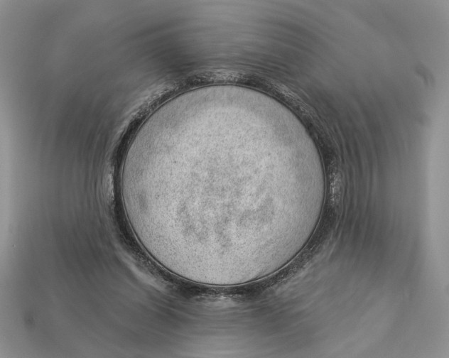 X0000112980254200909171344