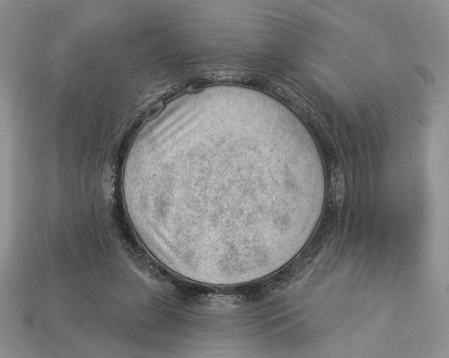 X0000112980255200909171344