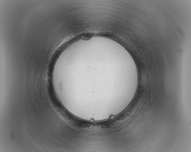 X0000112980256200909171344