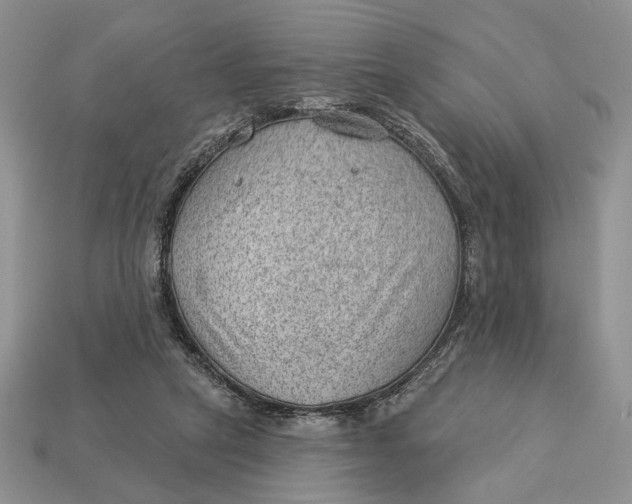 X0000112980257200909171344
