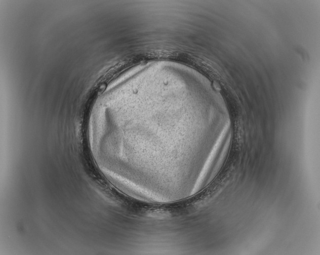 X0000112980258200909171344