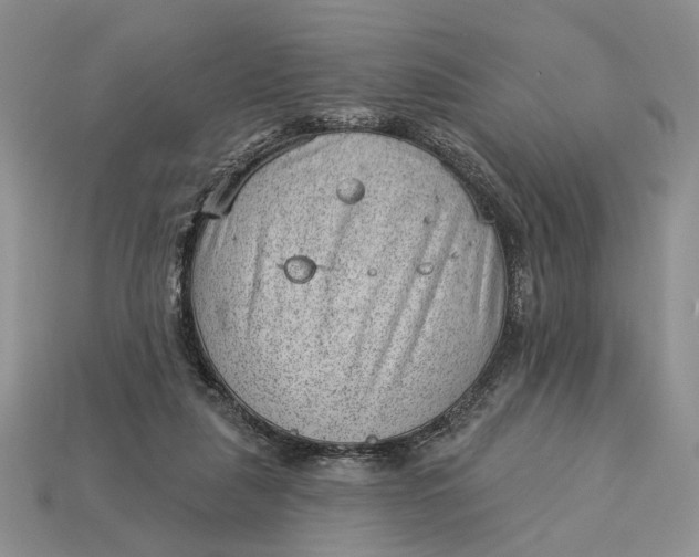 X0000112980259200909171344
