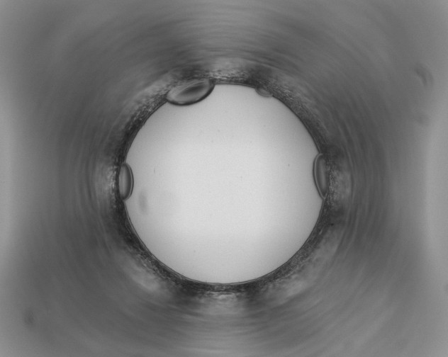 X0000112980260200909171344