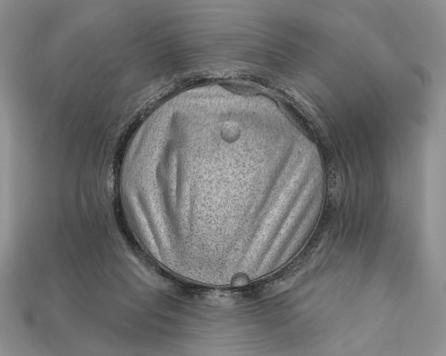 X0000112980261200909171344
