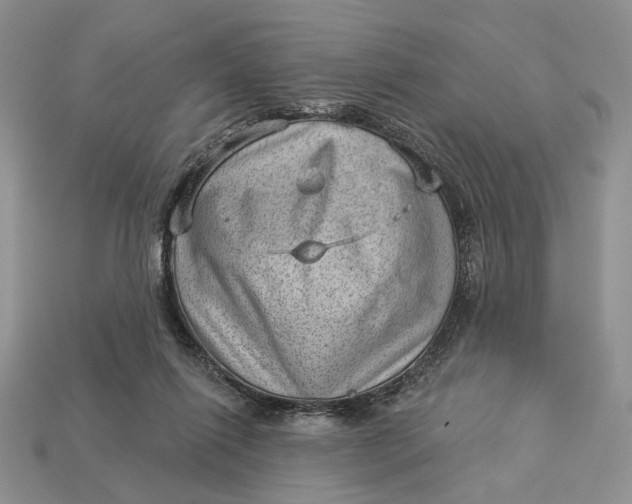 X0000112980262200909171344