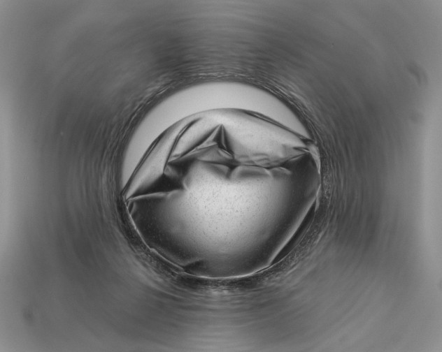 X0000112980264200909171344