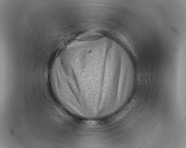 X0000112980265200909171344