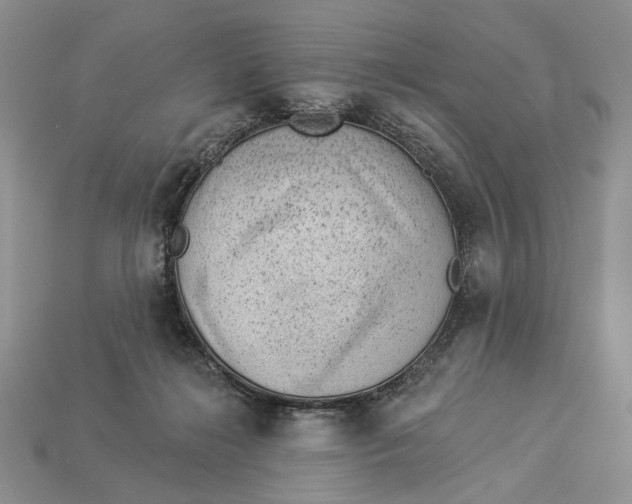 X0000112980268200909171344