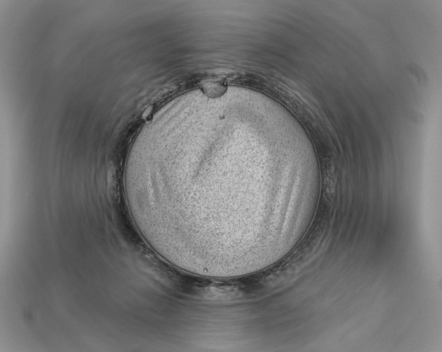 X0000112980270200909171344