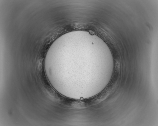 X0000112980271200909171344