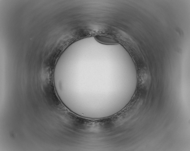 X0000112980276200909171344