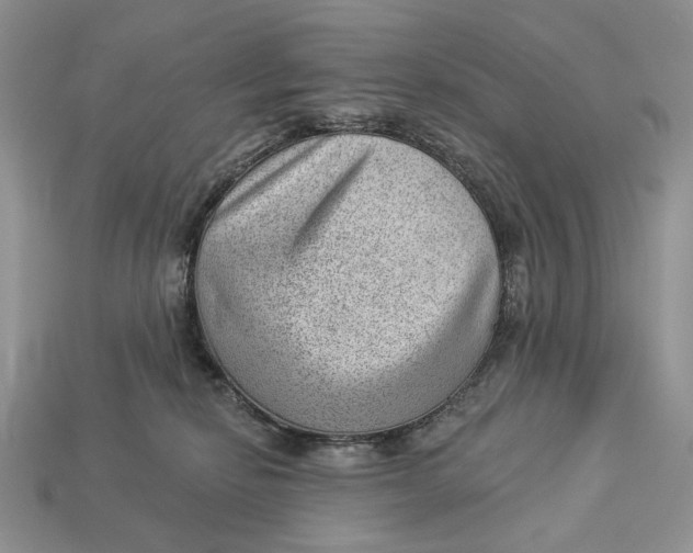 X0000112980278200909171344