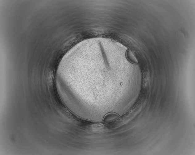 X0000112980279200909171344