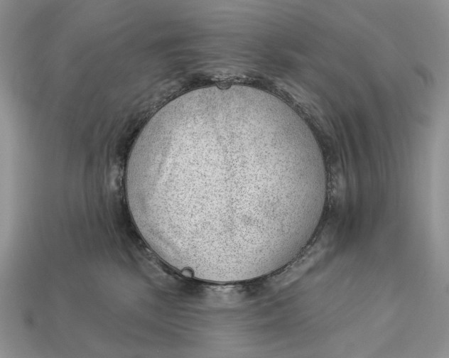 X0000112980281200909171344