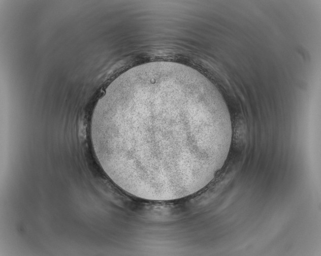 X0000112980282200909171344