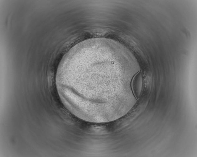 X0000112980283200909171344