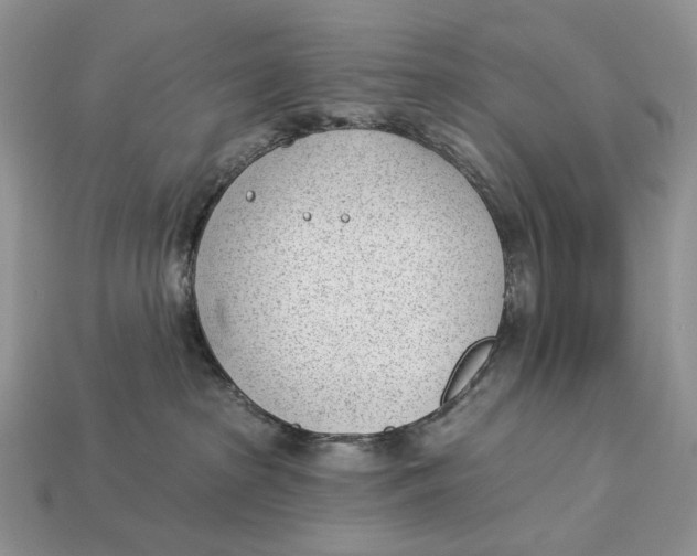 X0000112980285200909171344