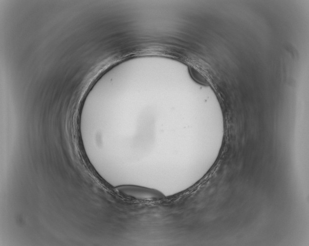 X0000112980289200909171344