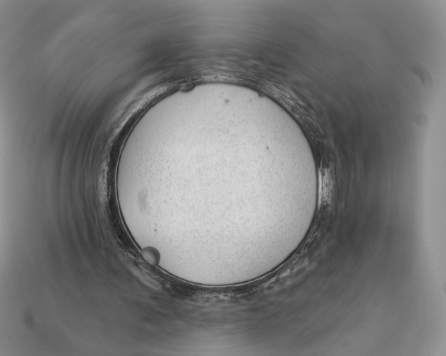 X0000112980291200909171344