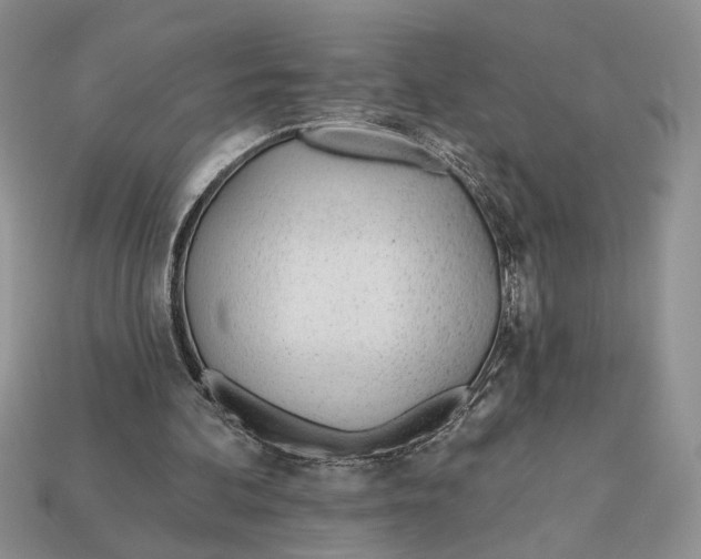 X0000112980292200909171344