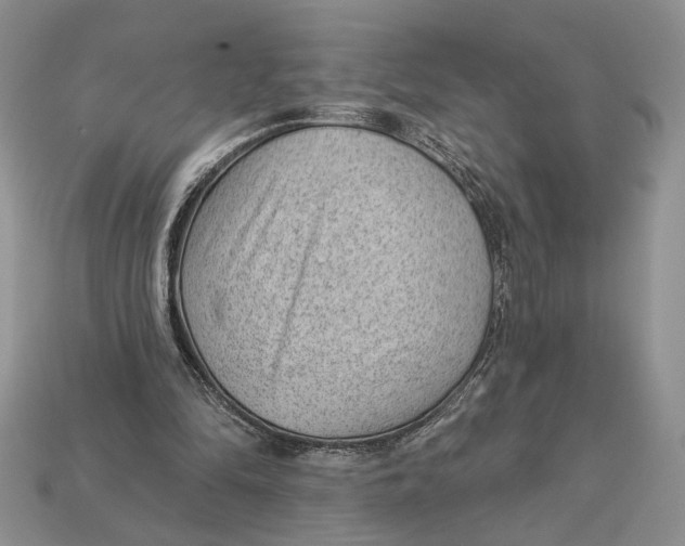 X0000112980294200909171344