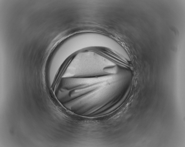 X0000112980296200909171344