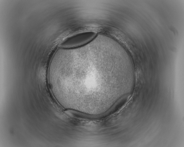 X0000112980297200909171344