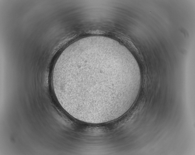 X0000112980299200909171344