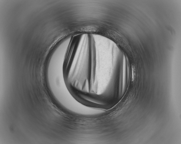 X0000112980300200909171344