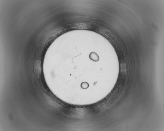 X0000112980302200909171344