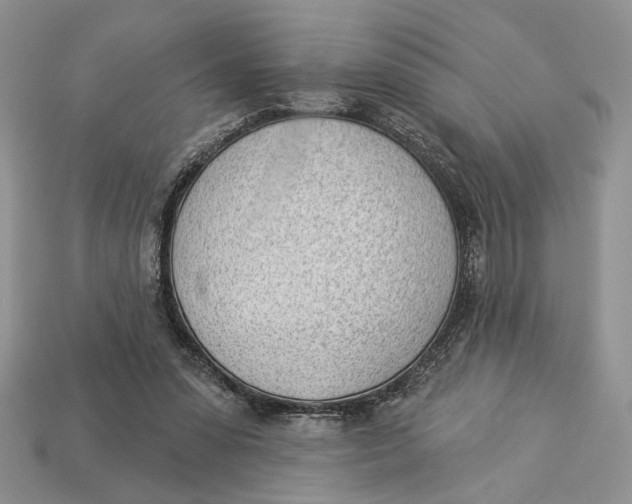 X0000112980303200909171344