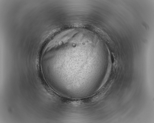 X0000112980306200909171344