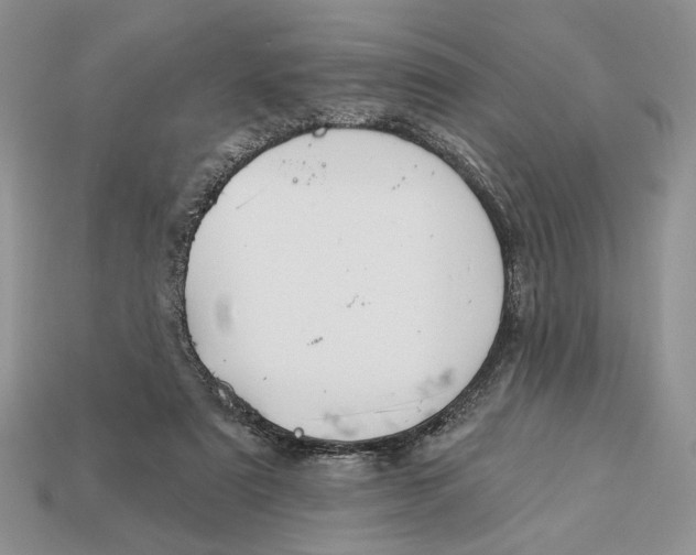 X0000112980307200909171344