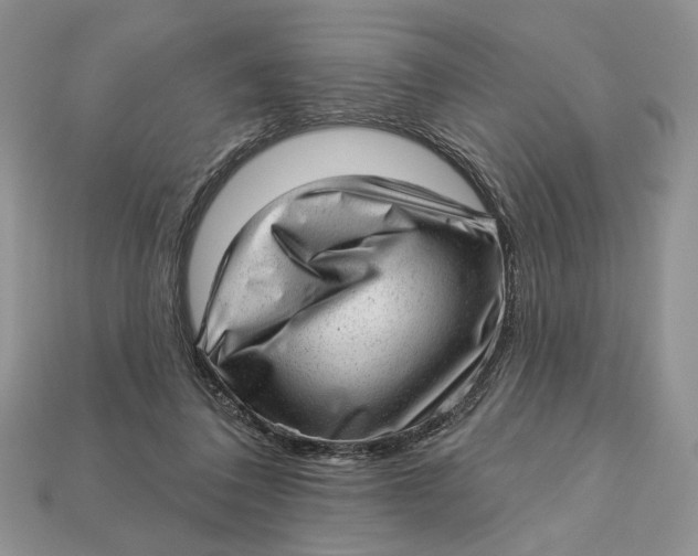 X0000112980308200909171344