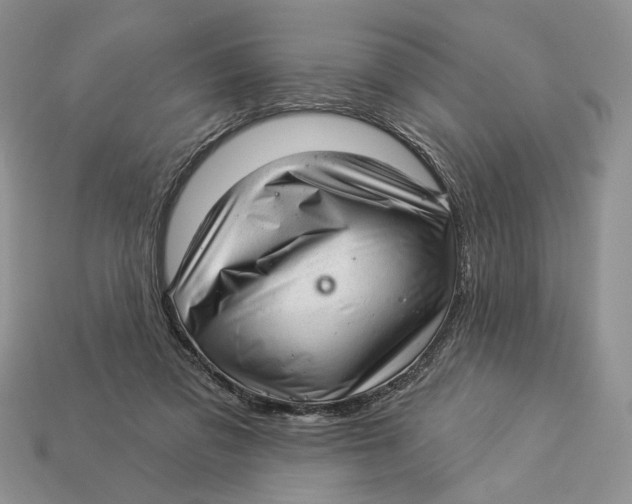 X0000112980309200909171344