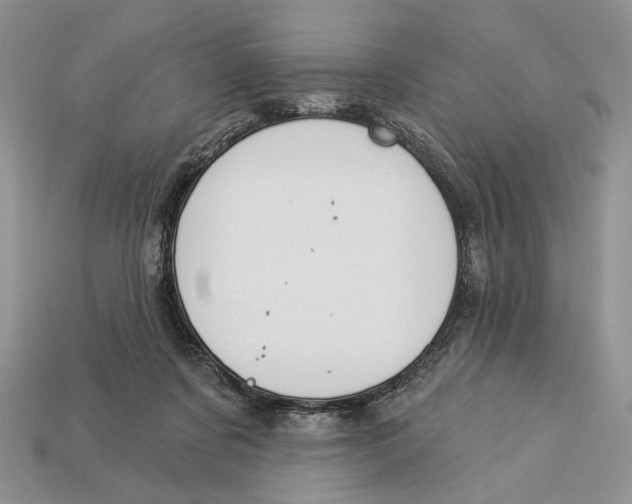 X0000112980311200909171343