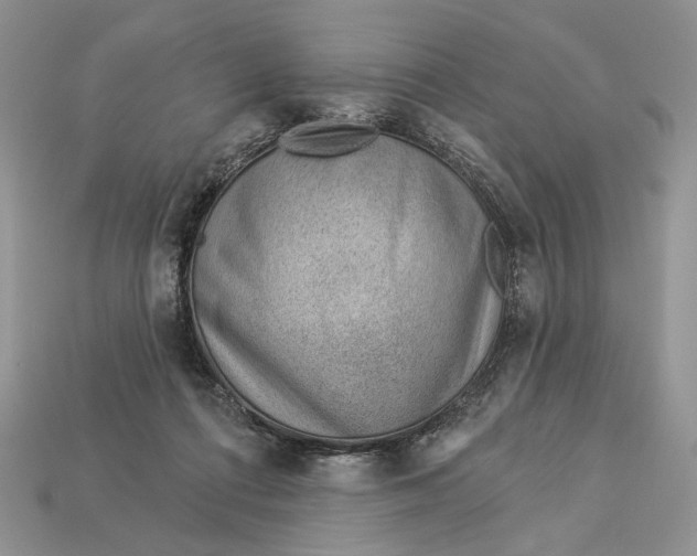 X0000112980312200909171343